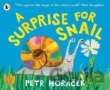 Surprise for Snail