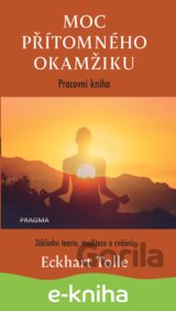 Moc přítomného okamžiku – pracovní kniha