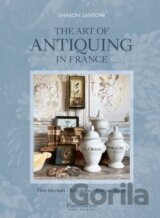 The Art of Antiquing in France