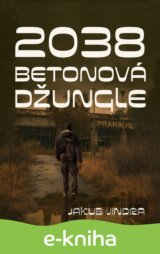 2038
