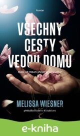 Všechny cesty vedou domů