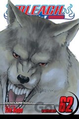 Bleach 62