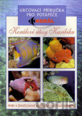 Korálové útesy Karibiku