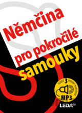 Němčina pro pokročilé samouky
