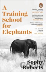 A Training School for Elephants