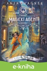 Magickí agenti 1: S vílami v Dubline