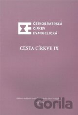 Cesta církve IX