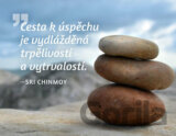 Magnet na lednici Cesta k úspěchu...