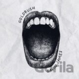 Gavin James: Goldrush