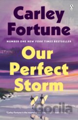 Our Perfect Storm