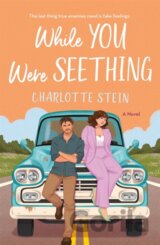 While You Were Seething