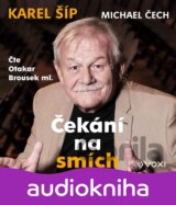 Čekání na smích (audiokniha)