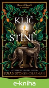 Klíč stínů