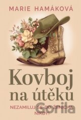Kovboj na útěku