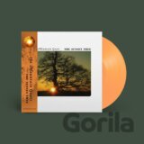 Mountain Goats:  Sunset Tree