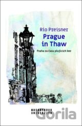 Prague in Thaw / Praha za času plujících ker