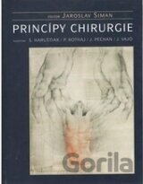 Princípy chirurgie