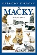 Mačky