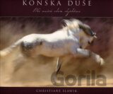Koňská duše