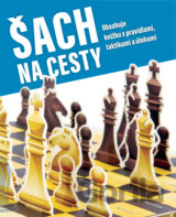 Šach na cesty