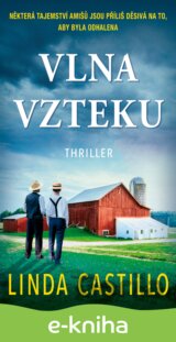 Vlna vzteku