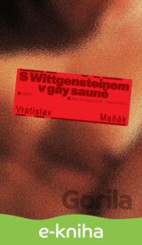 S Wittgensteinem v gay sauně