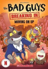 Bad Guys TV Chapter Book #2