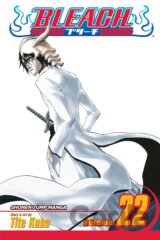 Bleach 22