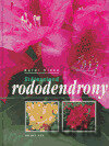Stálezelené rododendrony