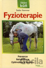 Fyzioterapie