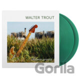Walter Trout: Common Ground (Translucent Green)