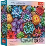 Puzzle Barevné sukulenty