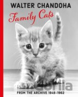 Walter Chandoha: Family Cats From the Archive 1949-1962