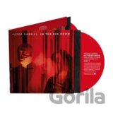 Peter Gabriel:  In The Big Room