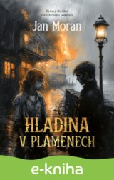 Hladina v plamenech