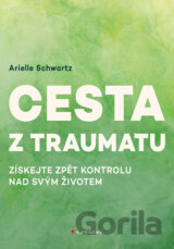 Cesta z traumatu