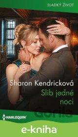 Slib jedné noci