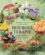 Houbová terapie