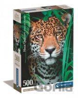 Puzzle Jaguár v džungli Compact 500 dílků