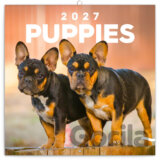 NOTIQUE Nástenný poznámkový kalendár Puppies (Šteňatá) 2027