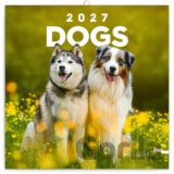 NOTIQUE Nástenný poznámkový kalendár Dogs (Psi) 2027