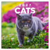 NOTIQUE Nástenný poznámkový kalendár Cats (Mačky) 2027