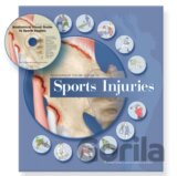 Anatomical Visual Guide to Sports Injuries