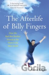 The Afterlife of Billy Fingers