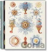 The Art and Science of Ernst Haeckel