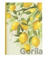 Notes tečkovaný A5 lamino Citrony