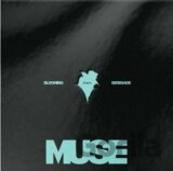 Jimin:  Muse