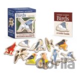 Extremely Accurate Birds Wooden Magnet Set