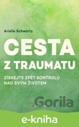 Cesta z traumatu