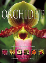 Orchideje